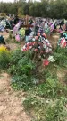 Захоронение ID 1297256