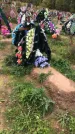Захоронение ID 1297260