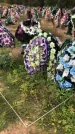 Захоронение ID 1297405