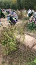 Захоронение ID 1297407