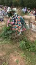 Захоронение ID 1297408