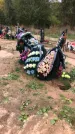 Захоронение ID 1297411
