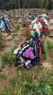 Захоронение ID 1297934