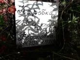 Захоронение ID 1287386