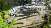 Захоронение ID 1296959