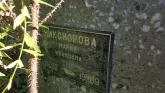 Захоронение ID 1297100