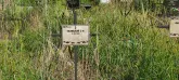 Захоронение ID 1292206