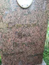 Захоронение ID 1295654