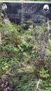 Захоронение ID 1299256