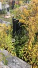 Захоронение ID 1299594