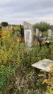 Захоронение ID 1299631