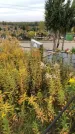 Захоронение ID 1300468