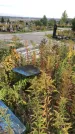 Захоронение ID 1300503