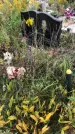 Захоронение ID 1300587