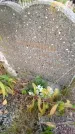 Захоронение ID 1300647