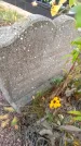 Захоронение ID 1300649
