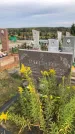 Захоронение ID 1300979