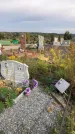 Захоронение ID 1301005