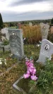 Захоронение ID 1301227