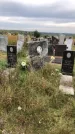 Захоронение ID 1301355