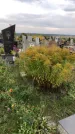 Захоронение ID 1301409