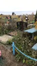 Захоронение ID 1301844