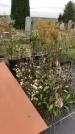 Захоронение ID 1302039