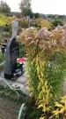Захоронение ID 1302089