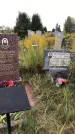Захоронение ID 1302245