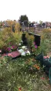 Захоронение ID 1302280