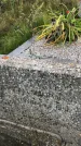 Захоронение ID 1302377