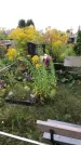 Захоронение ID 1302404