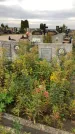 Захоронение ID 1302445
