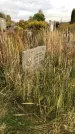 Захоронение ID 1302632