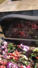 Захоронение ID 1302687