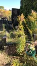 Захоронение ID 1302747