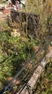 Захоронение ID 1302754