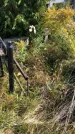 Захоронение ID 1302775