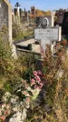 Захоронение ID 1302784