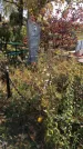 Захоронение ID 1302809
