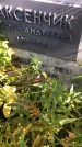 Захоронение ID 1302851
