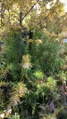 Захоронение ID 1302864