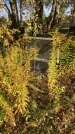 Захоронение ID 1302909