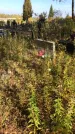 Захоронение ID 1302911
