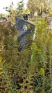 Захоронение ID 1302951