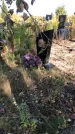 Захоронение ID 1302956