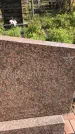 Захоронение ID 1302968
