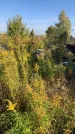 Захоронение ID 1302998