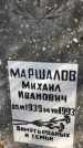 Захоронение ID 1303002