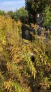 Захоронение ID 1303058